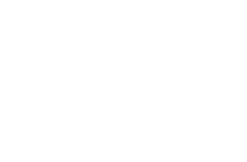 Three dogs of different sizes standing together in a row (small left, large center, small right).